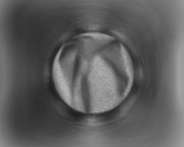 X0000088730264200706282130