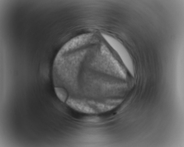 X0000088730266200706282130