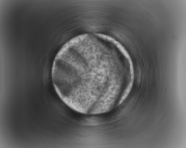 X0000088730268200706282130