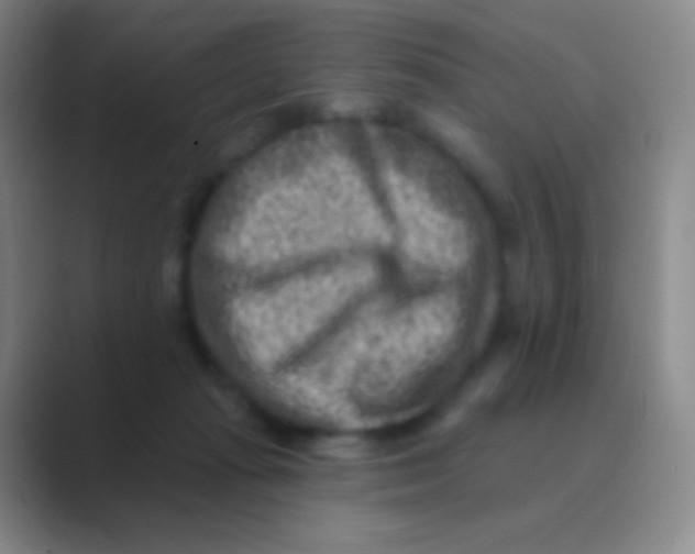 X0000088730269200706282130