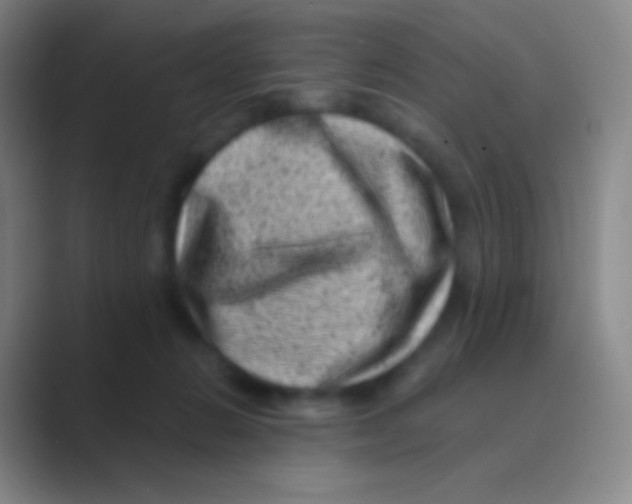 X0000088730270200706282130