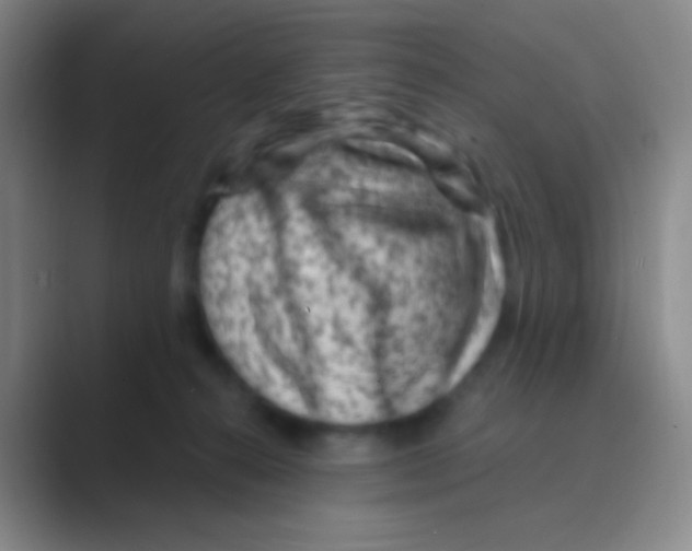 X0000088730272200706282130