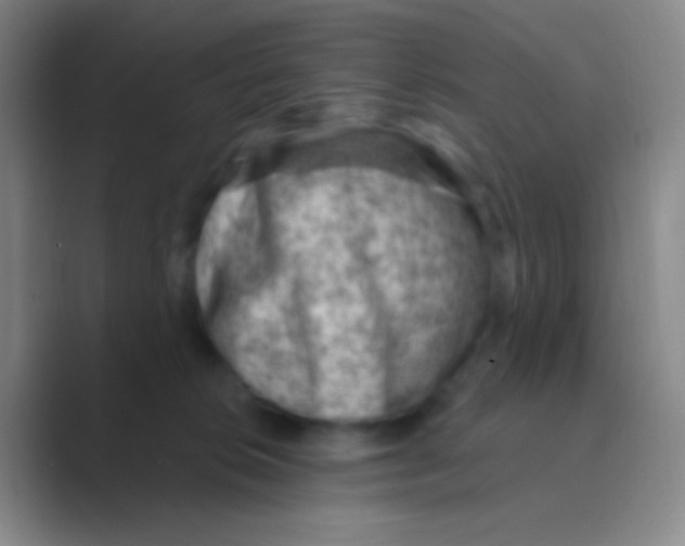 X0000088730276200706282130