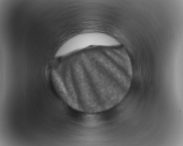 X0000088730277200706282130