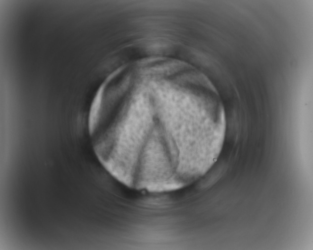 X0000088730278200706282130