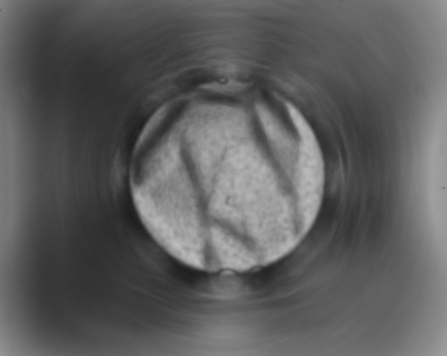 X0000088730279200706282130