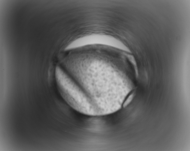 X0000088730280200706282130