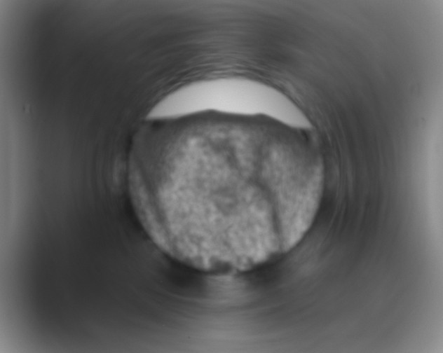 X0000088730281200706282130