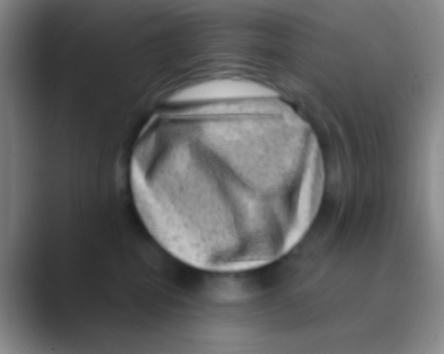 X0000088730282200706282130