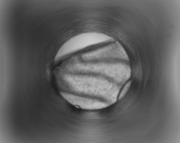 X0000088730283200706282130