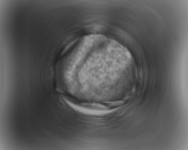 X0000088730284200706282130