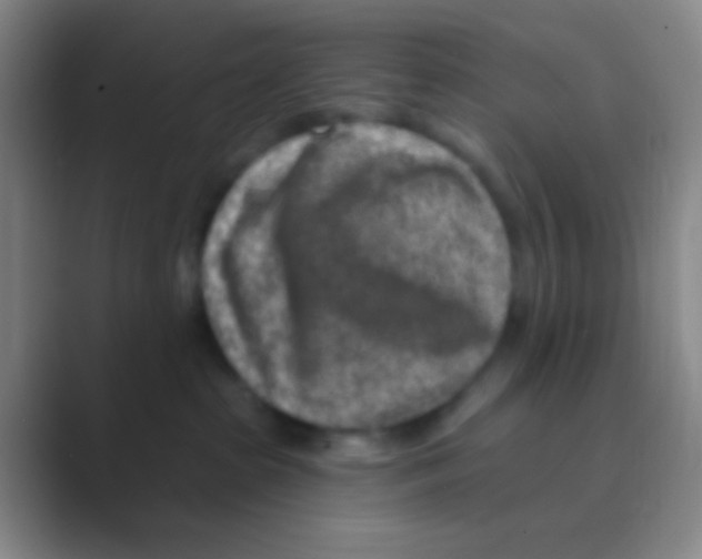 X0000088730285200706282130