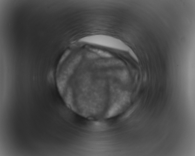 X0000088730286200706282130