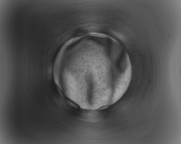 X0000088730288200706282130