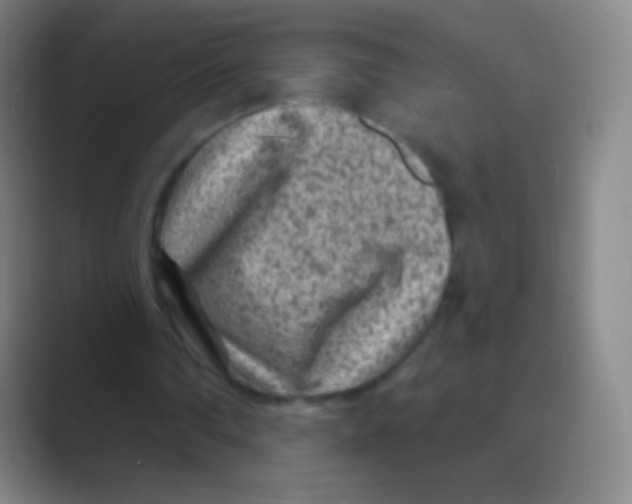 X0000088730290200706282129