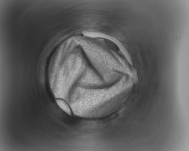 X0000088730291200706282129