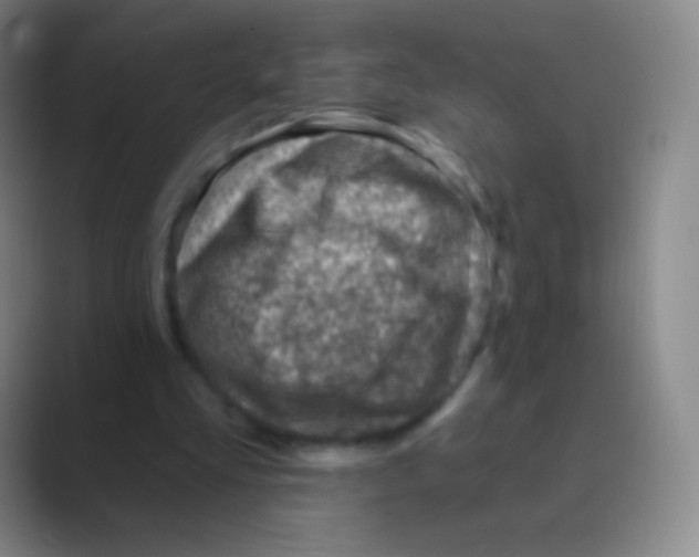 X0000088730293200706282129