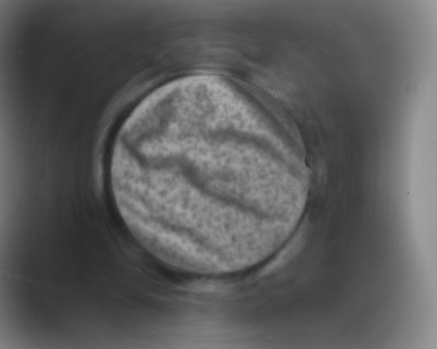 X0000088730294200706282129