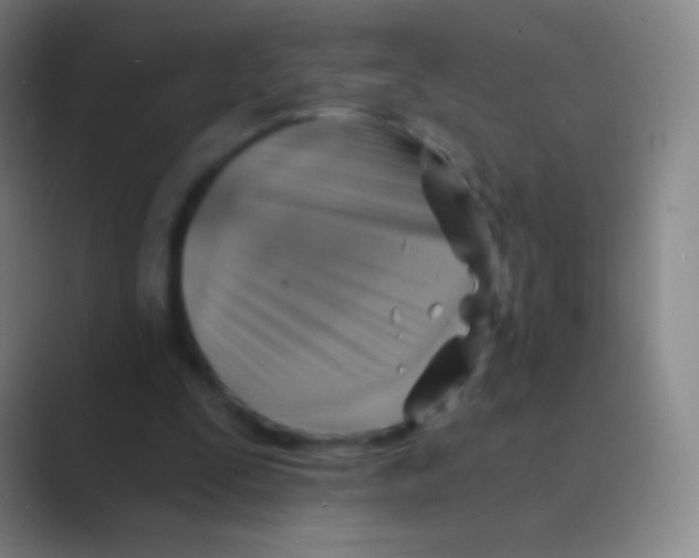 X0000088730295200706282129