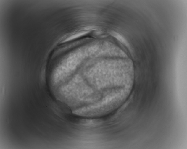 X0000088730297200706282129