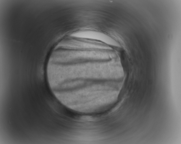 X0000088730298200706282129