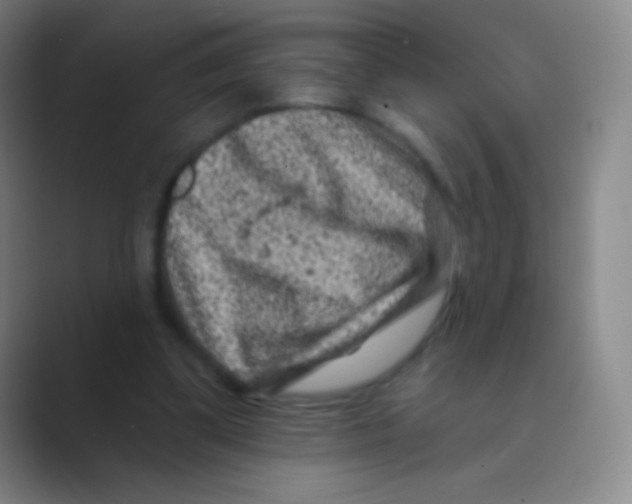 X0000088730299200706282129