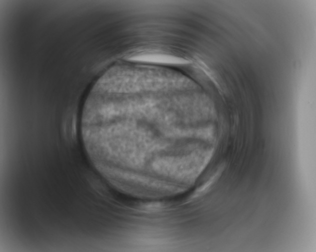 X0000088730301200706282129