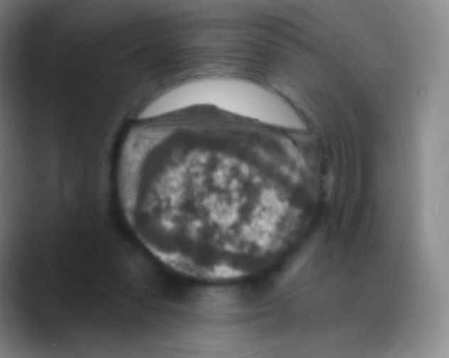 X0000088730303200706282129