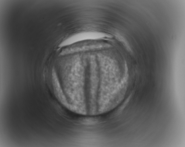 X0000088730305200706282129