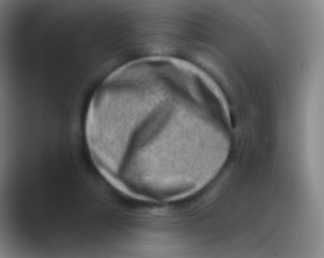 X0000088730306200706282129