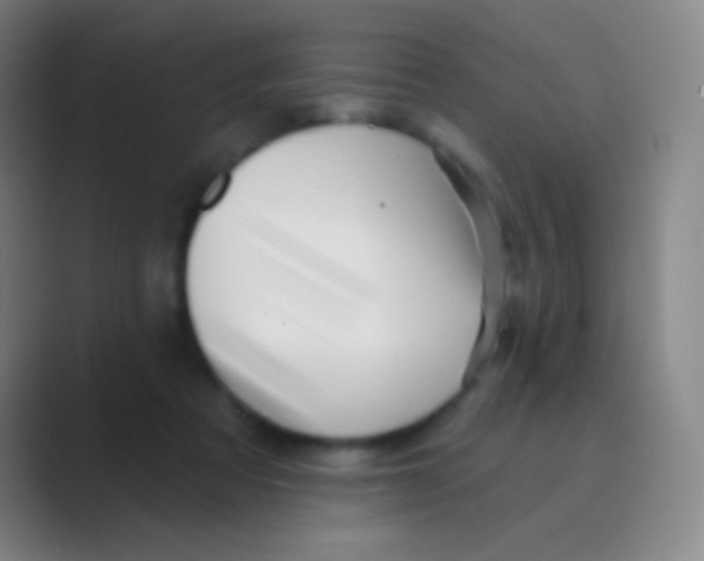 X0000088730313200706282129