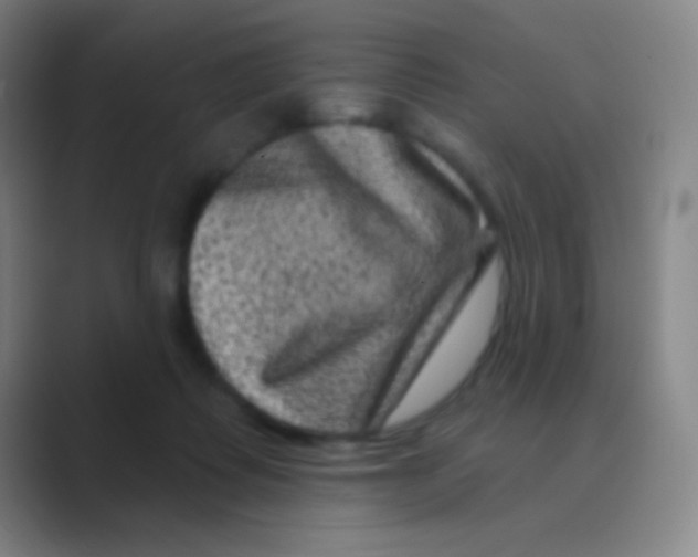 X0000088730315200706282129