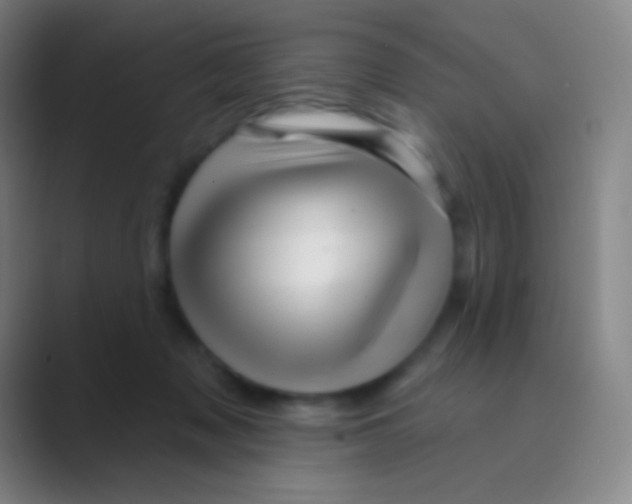 X0000088730317200706282129