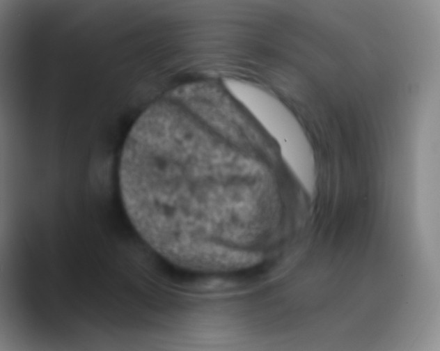 X0000088730319200706282129