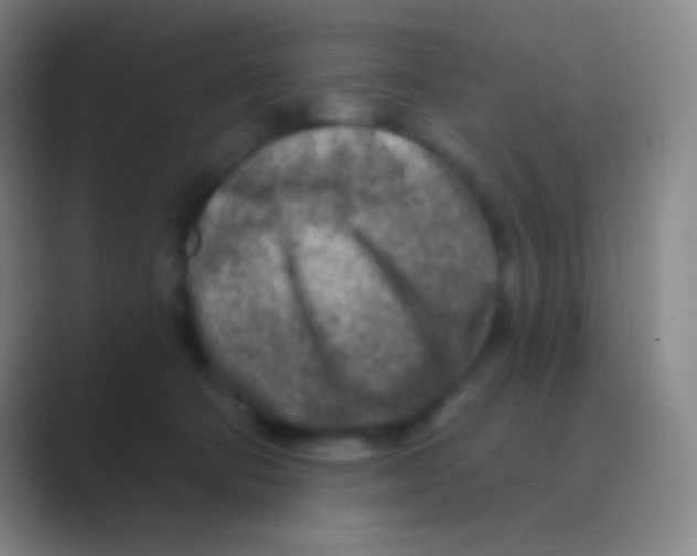 X0000088730322200706282129