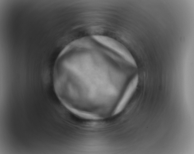 X0000088730323200706282129