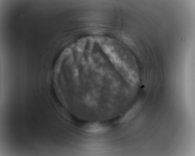 X0000088730325200706282129