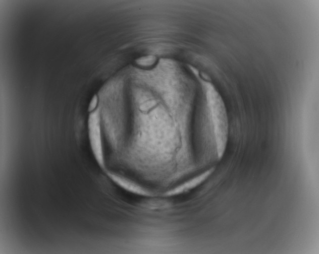 X0000088730327200706282129