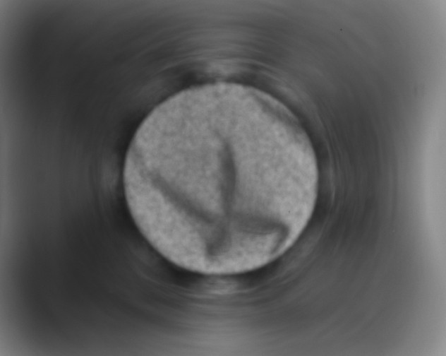 X0000088730328200706282129