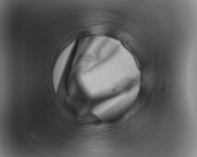 X0000088730329200706282129