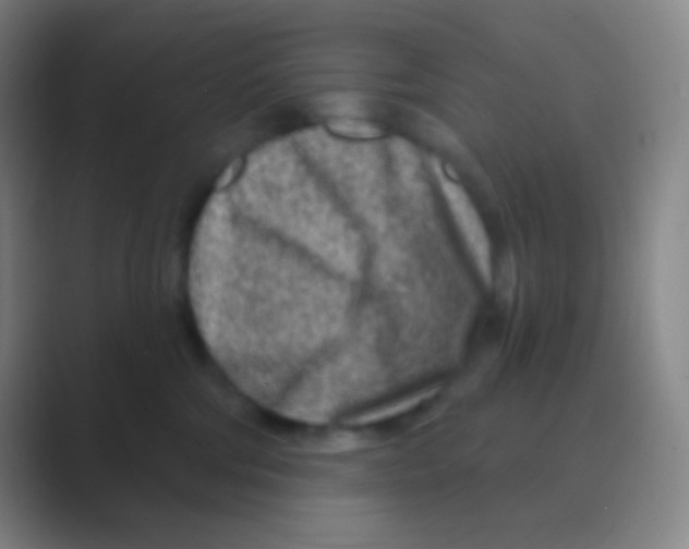 X0000088730330200706282129