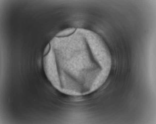 X0000088730334200706282129