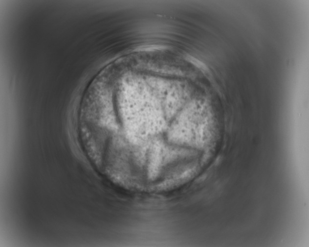 X0000088730337200706282128