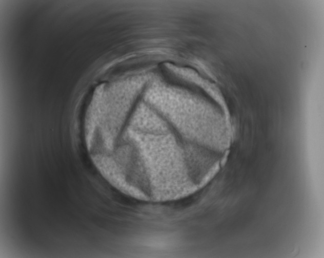 X0000088730339200706282128