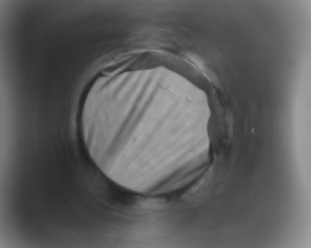 X0000088730340200706282128