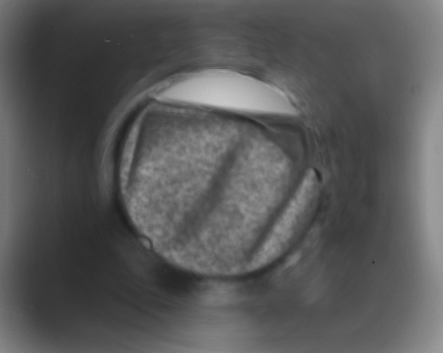 X0000088730343200706282128