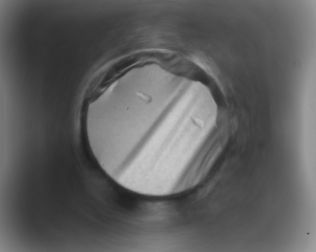 X0000088730344200706282128