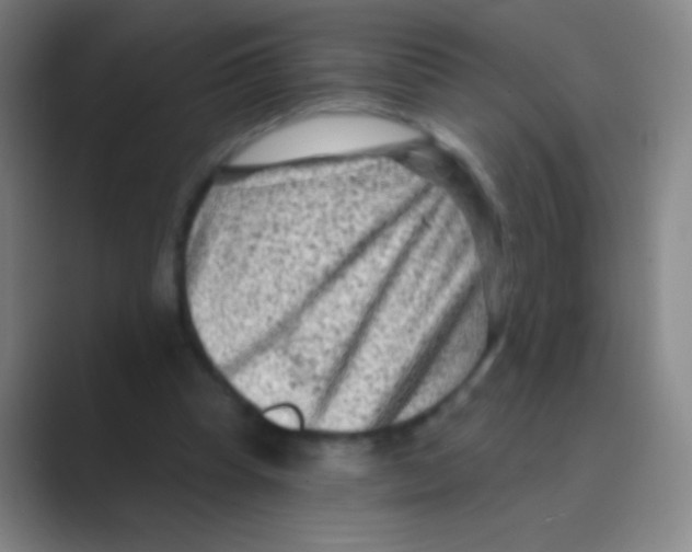 X0000088730345200706282128