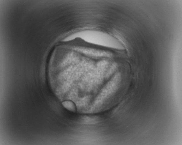 X0000088730346200706282128