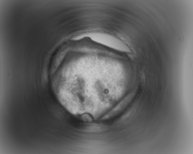 X0000088730347200706282128